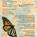 The Butterfly